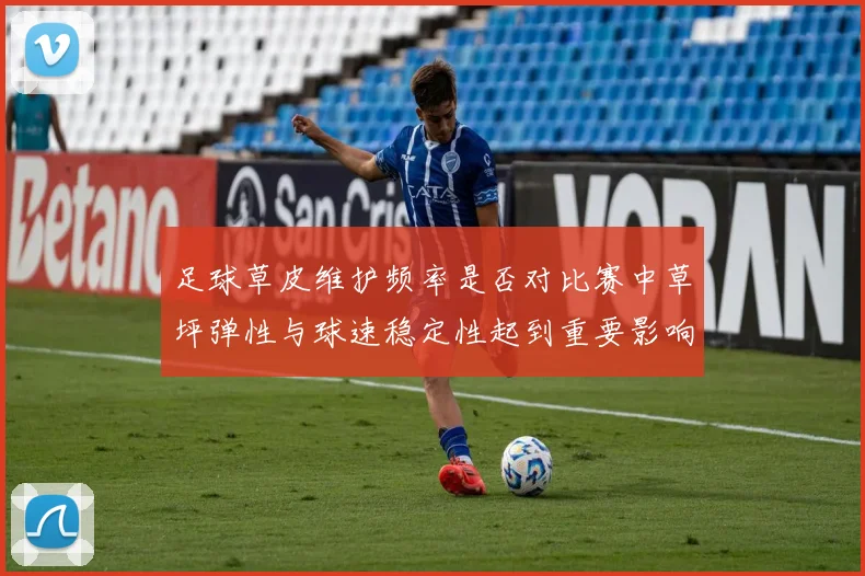 足球草皮维护频率是否对比赛中草坪弹性与球速稳定性起到重要影响