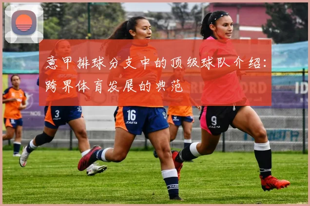 意甲排球分支中的顶级球队介绍：跨界体育发展的典范